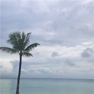 黑沙宝典手机版下载